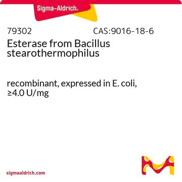 Esterase from Bacillus stearothermophilus recombinant, expressed in E. coli, &#8805;4.0&#160;U/mg