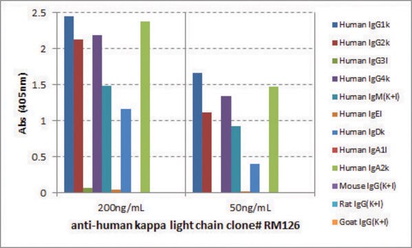 Anti-Human Kappa Light Chain-Biotin antibody, Rabbit monoclonal recombinant, expressed in HEK 293 cells, clone RM126, purified immunoglobulin