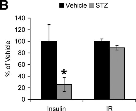 Anti-Insulin Receptor Antibody, beta subunit, clone CT-3 clone CT-3, from mouse