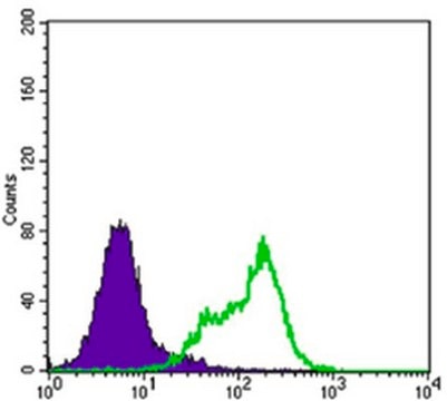 Anti-THAP11 Antibody, clone 3F3 ascites fluid, clone 3F3, from mouse