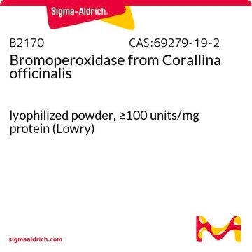 Bromoperoxidase from Corallina officinalis lyophilized powder, &#8805;100&#160;units/mg protein (Lowry)