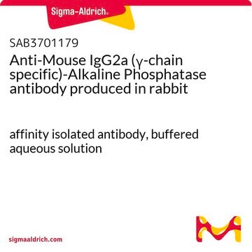 Anti-Mouse IgG2a (&#947;-chain specific)-Alkaline Phosphatase antibody produced in rabbit affinity isolated antibody, buffered aqueous solution