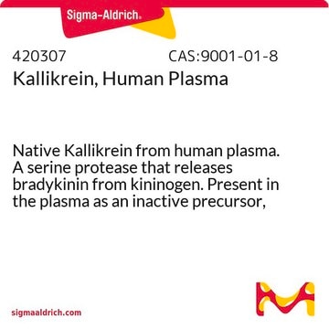 Kallikrein, Human Plasma Native Kallikrein from human plasma. A serine protease that releases bradykinin from kininogen. Present in the plasma as an inactive precursor, prokallikrein.