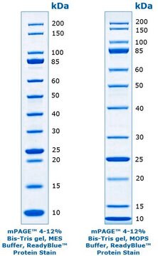 mPAGE&#174; Unstained Protein Standard