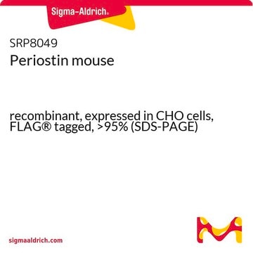 Periostin mouse recombinant, expressed in CHO cells, FLAG&#174; tagged, &gt;95% (SDS-PAGE)