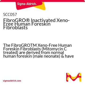 FibroGRO&#174; Inactivated Xeno-Free Human Foreskin Fibroblasts The FibroGROTM Xeno-Free Human Foreskin Fibroblasts (Mitomycin C treated) are derived from normal human foreskin (male neonate) &amp; have been isolated &amp; manufactured under xeno-free conditions.