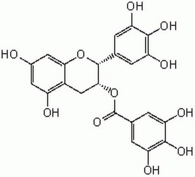 (&#8211;)-Epigallocatechin Gallate One of the main polyphenolic constituents of green tea that exhibits potent antitumor, anti-inflammatory, and antioxidant properties.