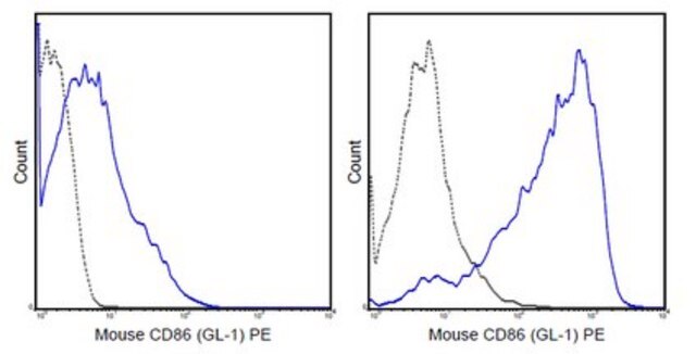 Anti-CD86 (B7-2) Antibody (mouse), PE, clone GL-1 clone GL-1 (GL1), 0.2&#160;mg/mL, from rat