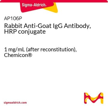 Rabbit Anti-Goat IgG Antibody, HRP conjugate 1&#160;mg/mL (after reconstitution), Chemicon&#174;