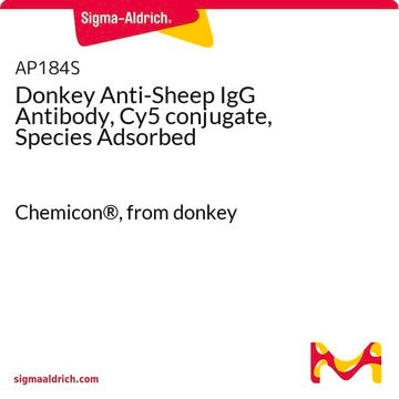 Donkey Anti-Sheep IgG Antibody, Cy5 conjugate, Species Adsorbed Chemicon&#174;, from donkey