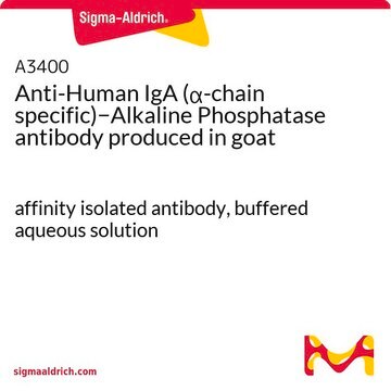 Anti-Human IgA (&#945;-chain specific)&#8722;Alkaline Phosphatase antibody produced in goat affinity isolated antibody, buffered aqueous solution