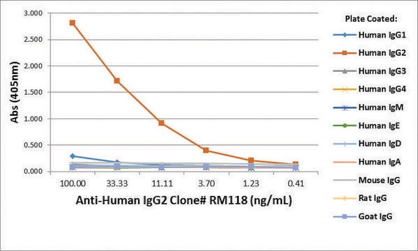 Anti-Human IgG2-Biotin antibody, Rabbit monoclonal recombinant, expressed in HEK 293 cells, clone RM118, purified immunoglobulin