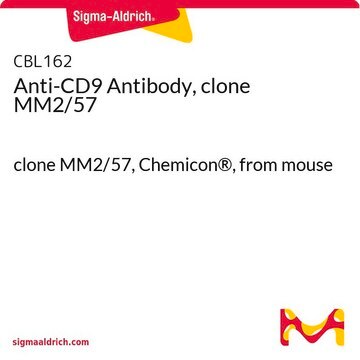 Anti-CD9 Antibody, clone MM2/57 clone MM2/57, Chemicon&#174;, from mouse