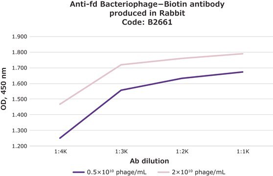 Anti-fd Bacteriophage&#8722;Biotin antibody produced in rabbit ~3.5&#160;mg/mL, IgG fraction of antiserum