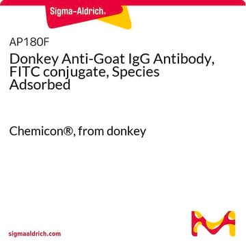 Donkey Anti-Goat IgG Antibody, FITC conjugate, Species Adsorbed Chemicon&#174;, from donkey