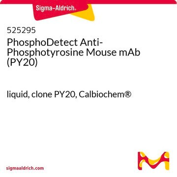 PhosphoDetect Anti-Phosphotyrosine Mouse mAb (PY20) liquid, clone PY20, Calbiochem&#174;