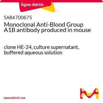 Monoclonal Anti-Blood Group A1B antibody produced in mouse clone HE-24, culture supernatant, buffered aqueous solution