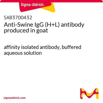 Anti-Swine IgG (H+L) antibody produced in goat affinity isolated antibody, buffered aqueous solution