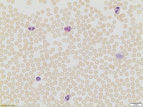 Leukocyte Alkaline Phosphatase Kit based on naphthol AS-BI and fast red violet LB