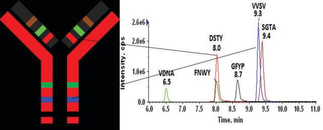 SILu&#8482;MAB K1 Stable-Isotope Labeled Universal Monoclonal Antibody recombinant, expressed in CHO cells