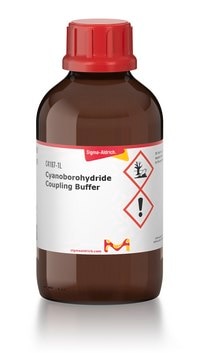 Cyanoborohydride Coupling Buffer