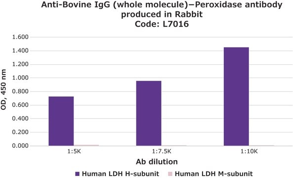 Monoclonal Anti-LDH (H-Subunit) antibody produced in mouse clone HH-17, ascites fluid