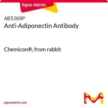 Anti-Adiponectin Antibody Chemicon&#174;, from rabbit