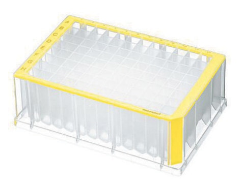 Eppendorf&#174; Deepwell Plate 96/2000&#956;L sterile, volume 2000&#160;&#956;L, yellow border with clear wells, pkg of 20&#160;plates (5 bags x 4 plates)