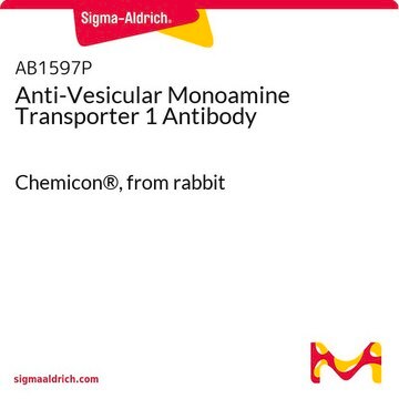 Anti-Vesicular Monoamine Transporter 1 Antibody Chemicon&#174;, from rabbit