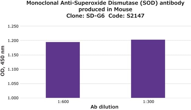 Monoclonal Anti-Superoxide Dismutase (SOD) antibody produced in mouse clone SD-G6, ascites fluid