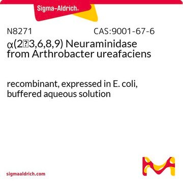 &#945;(2&#8594;3,6,8,9) Neuraminidase from Arthrobacter ureafaciens recombinant, expressed in E. coli, buffered aqueous solution