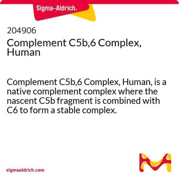 Complement C5b,6 Complex, Human Complement C5b,6 Complex, Human, is a native complement complex where the nascent C5b fragment is combined with C6 to form a stable complex.