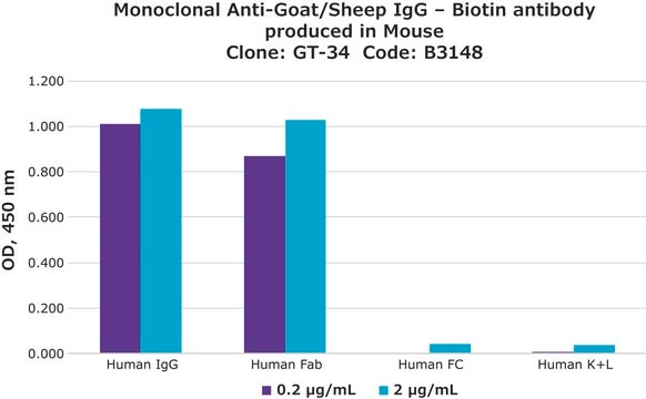 Anti-Goat/Sheep IgG&#8722;Biotin antibody, Mouse monoclonal clone GT-34, purified from hybridoma cell culture