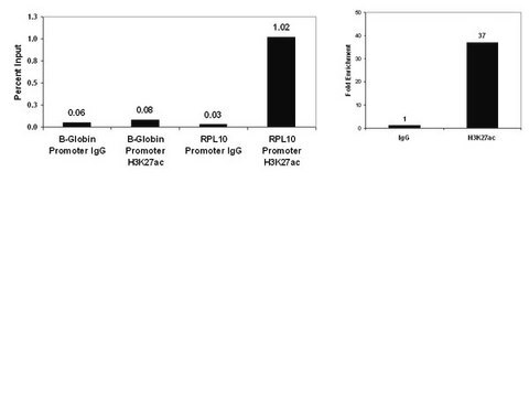 ChIPAb+ Acetyl-Histone H3 (Lys27) - ChIP Validated Antibody and Primer Set clone CMA309, from mouse