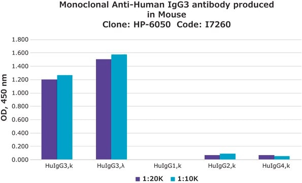 Monoclonal Anti-Human IgG3 antibody produced in mouse clone HP-6050, ascites fluid