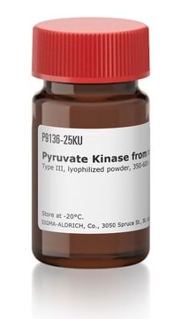 Pyruvate Kinase from rabbit muscle Type III, lyophilized powder, 350-600&#160;units/mg protein