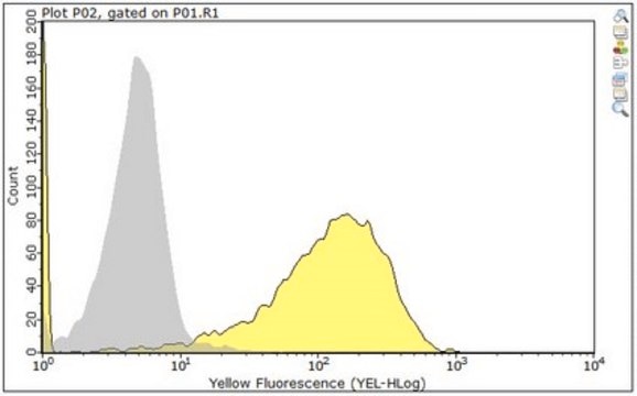 Anti-Platelet Factor 4 Antibody, clone 197.2 clone 197.2, from mouse