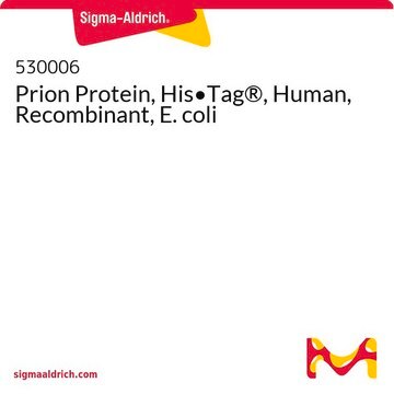 Prion Protein, His&#8226;Tag&#174;, Human, Recombinant, E. coli