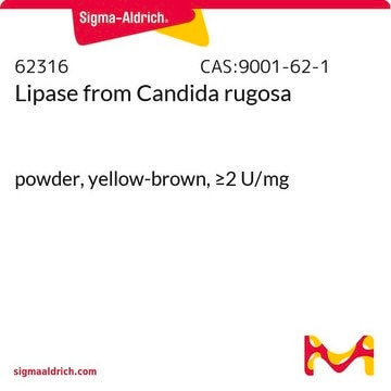 Lipase from Candida rugosa powder, yellow-brown, &#8805;2&#160;U/mg