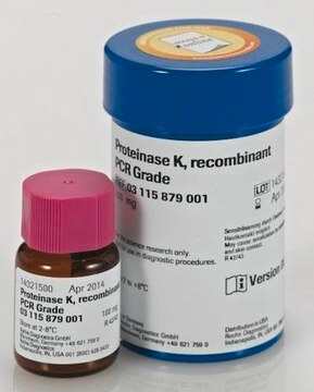 Proteinase K, recombinant, PCR Grade Lyophilizate from Pichia pastoris