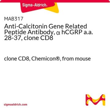 Anti-Calcitonin Gene Related Peptide Antibody, &#945; hCGRP a.a. 28-37, clone CD8 clone CD8, Chemicon&#174;, from mouse