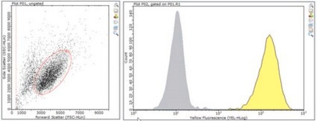 Anti-CCR5 (CD195) Antibody, clone HEK/1/85a/7a clone HEK/1/85a/7a, from rat