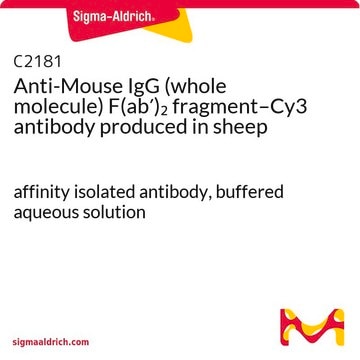 Anti-Mouse IgG (whole molecule) F(ab&#8242;)2 fragment–Cy3 antibody produced in sheep affinity isolated antibody, buffered aqueous solution