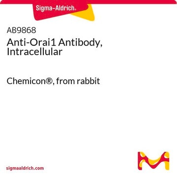 Anti-Orai1 Antibody, Intracellular Chemicon&#174;, from rabbit