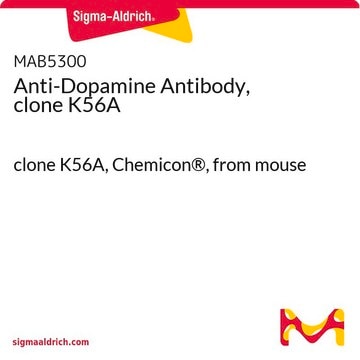 Anti-Dopamine Antibody, clone K56A clone K56A, Chemicon&#174;, from mouse