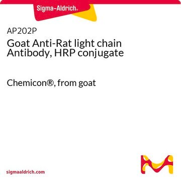 Goat Anti-Rat light chain Antibody, HRP conjugate Chemicon&#174;, from goat