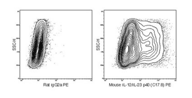 Anti-IL-12/IL-23 p40 (mouse), PE, clone C17.8 Antibody clone C17.8, from rat, PE