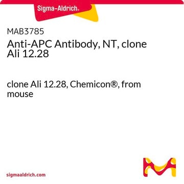 Anti-APC Antibody, NT, clone Ali 12.28 clone Ali 12.28, Chemicon&#174;, from mouse