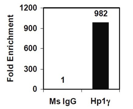 EZ-Magna ChIP&#174; A/G Chromatin Immunoprecipitation Kit Single day chromatin immunoprecipitation (ChIP) kit containing all necessary reagents to perform 22 individual chromatin immunoprecipitation (ChIP) reactions using magnetic A/G beads. Control primers included.