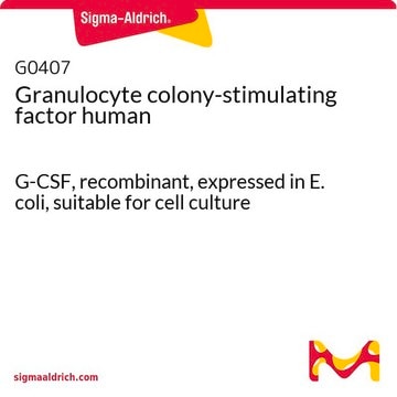 Granulocyte colony-stimulating factor human G-CSF, recombinant, expressed in E. coli, suitable for cell culture